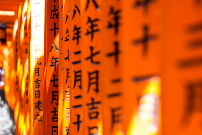 How to learn the language
