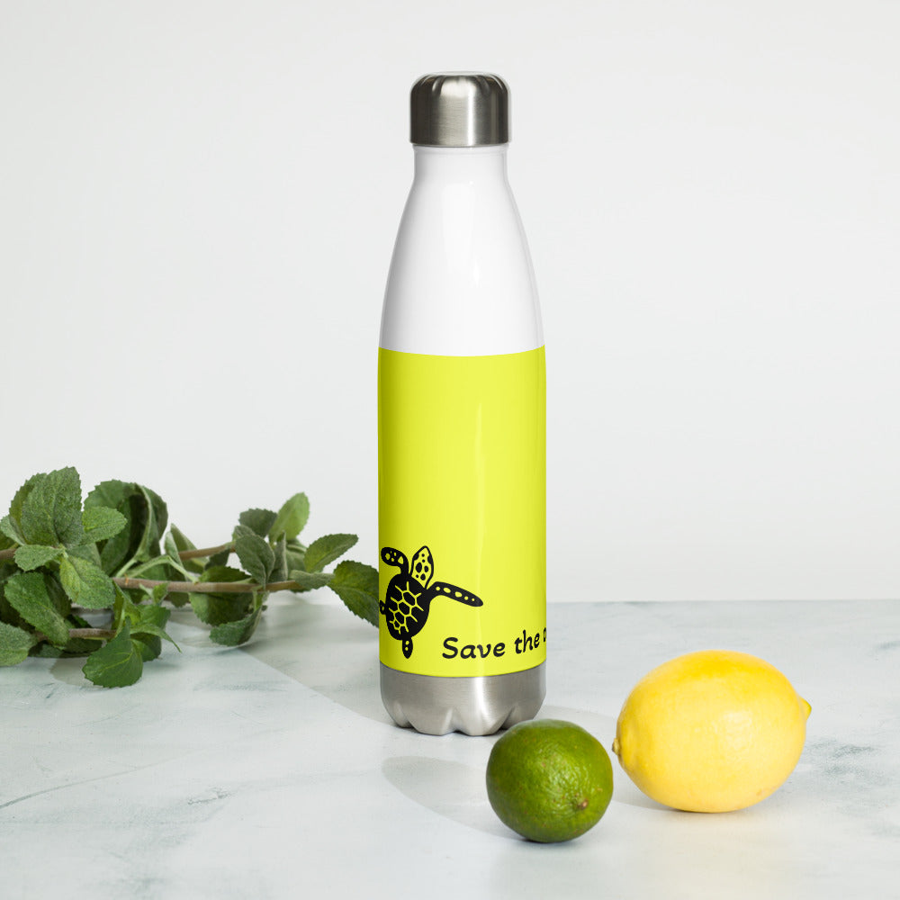 Stainless Steel Water Bottle