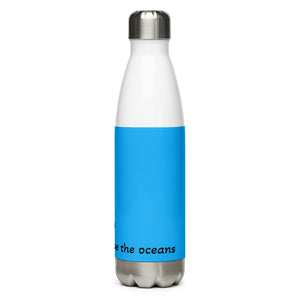 Stainless Steel Water Bottle